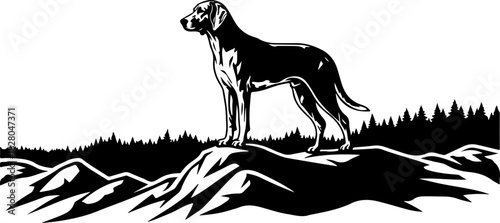 Dog Sniffing by Pine Tree Silhouette