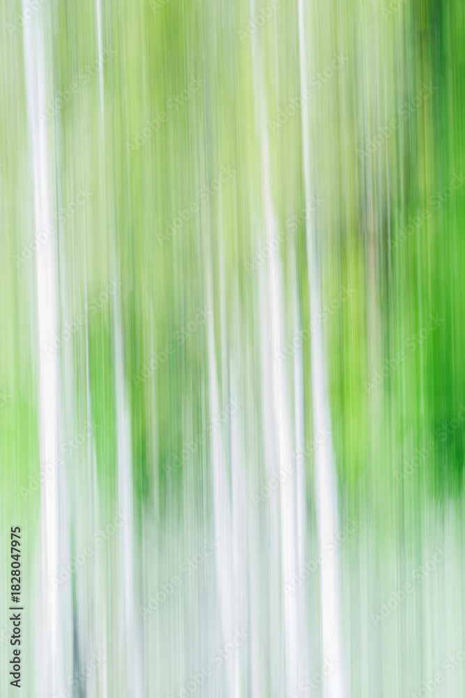 Obraz premium Environmental blurry streaky background image.