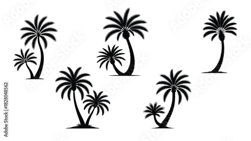 illustration-of-three-black-palm-trees-with-detail. eps