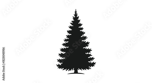 Elegant evergreen tree silhouette on white background for design projects silhouette