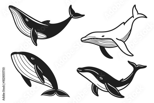 Minimalist line art whale icon set in black and primary colors