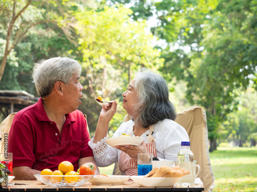 Happy retired senior Asian couple enjoying a healthy picnic and conversation in a lush park. The elderly man and woman are smiling and relaxing outdoors, celebrating love and active retirement.