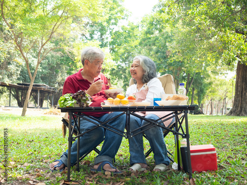 Happy retired senior Asian couple enjoying a healthy picnic and conversation in a lush park. The elderly man and woman are smiling and relaxing outdoors, celebrating love and active retirement.
