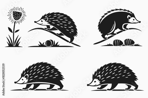 Minimalist desert hedgehog icon set with animal and nature themes