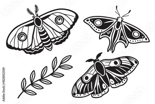 Minimalist emperor moth icon set with vibrant colors