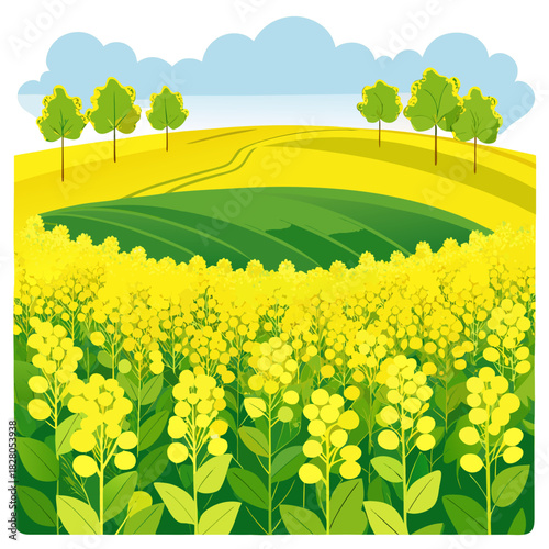 Vibrant fields of yellow canola flowers under a bright sky, adding warmth and cheer to any design, perfect for spring or summer themes, originally created as a scalable vector graphic