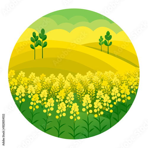 Serene canola field illustration with gentle rolling hills and vibrant yellow blossoms, perfect for springtime designs and nature-themed projects, a charming rural landscape
