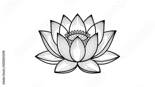 A detailed black and white illustration of a blooming lotus flower.
