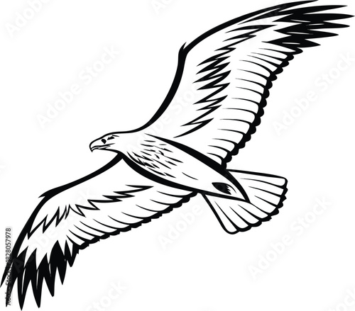 Eagle flying vector file