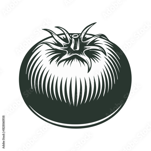 Engraved depiction of a ripe tomato illustrating agriculture and culinary themes with classic design elements