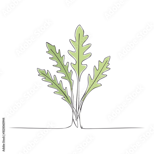 Continuous line drawing of fresh arugula salad leaves in a minimalist artistic style