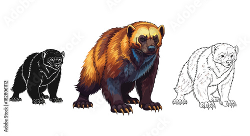 Wolverine illustration set featuring a colorful animal, a black silhouette and a line art drawing