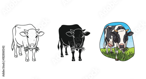 Cow illustrations line art, silhouette, and a colorful drawing of a cow grazing