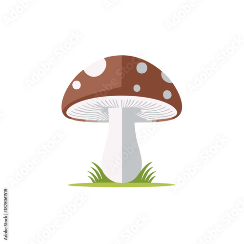 Cute flat design mushroom illustration with brown spotted cap and white stem on green grass