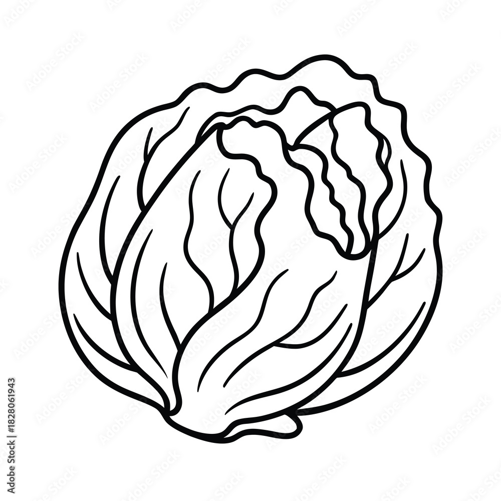 Obraz premium Vector illustration of a cabbage head vegetable designed like a human brain for food, health, and medical science concepts