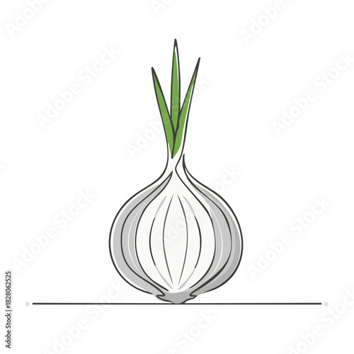 Simple line drawing of a fresh white onion with green sprouts and subtle shading