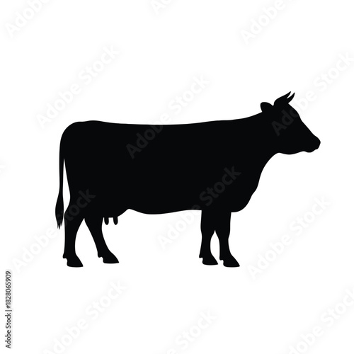 Black silhouette of a cow standing white animal