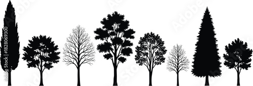 Fantasy cartoon wooden signposts and direction arrows set, rustic weathered wood planks with rope, moss, and colorful nature elements, isolated vector collection for game design and fairytale maps.