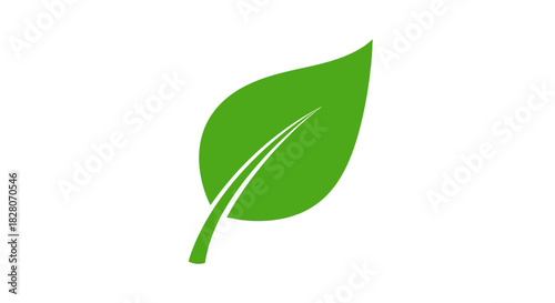 Green leaf icon on white background