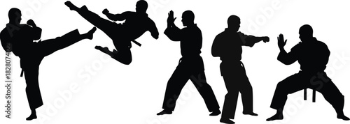 Silhouette of martial arts practitioners in various poses and fighting stances