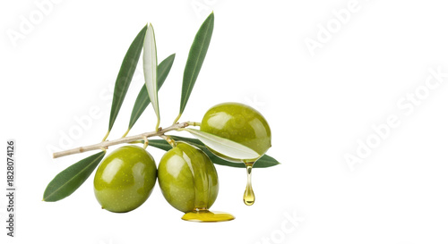 Foto Green olives with leaves and dripping oil isolated PNG, fresh olive branch with