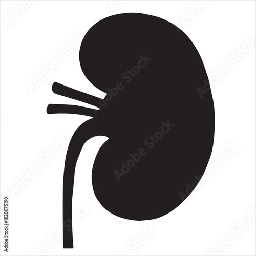 Minimalist Black Kidney Vector for Health and Wellness