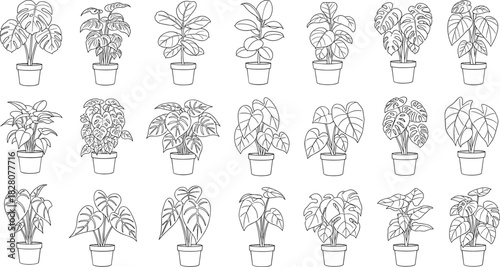 Collection of hand drawn potted house plant illustrations, black line art vector set featuring monstera and ficus leaves.