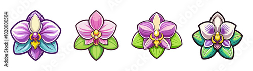 Set of four colorful stylized orchid flowers with green leaves, featuring purple, pink, and white petals