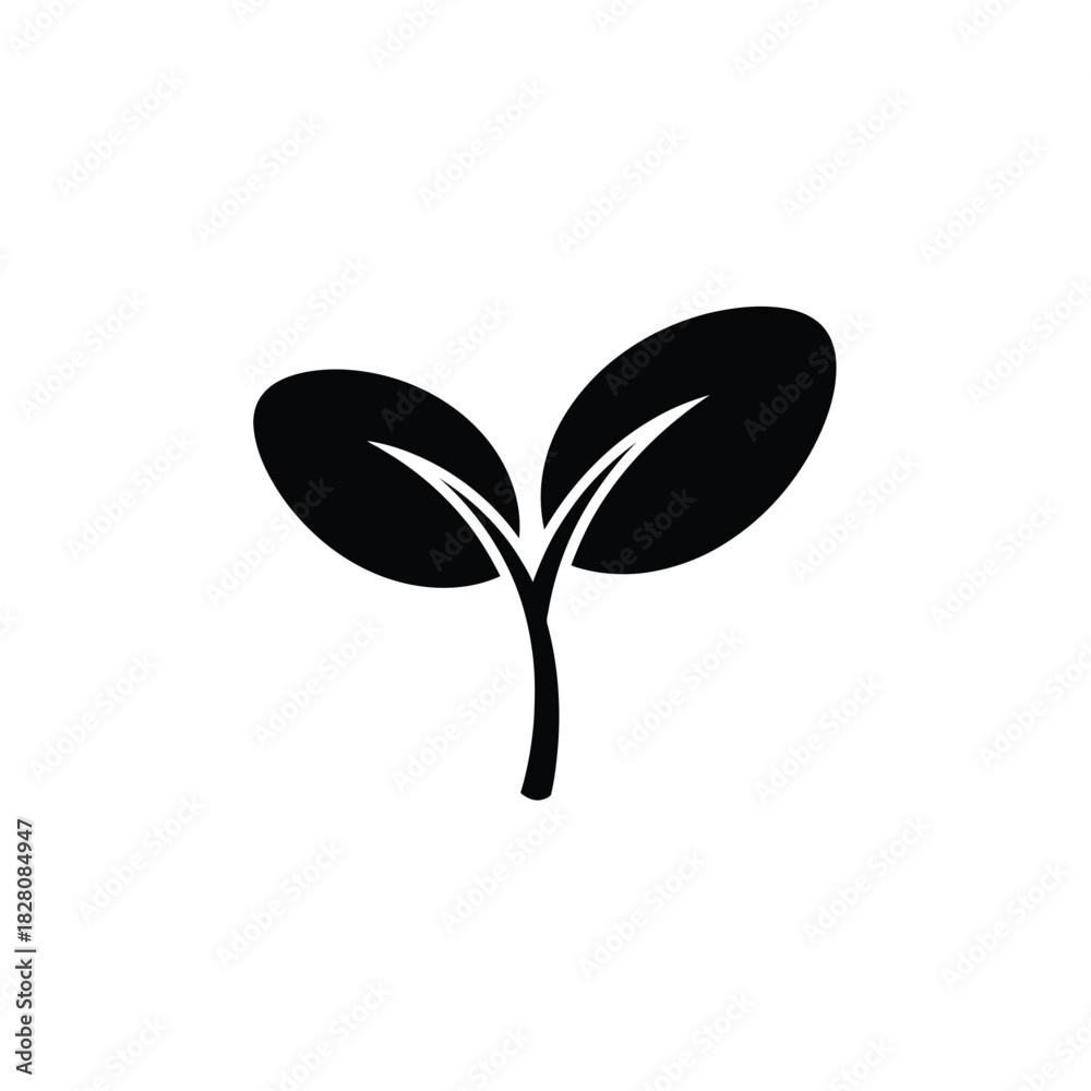 Obraz premium Black silhouette of a young plant sprout seedling growth