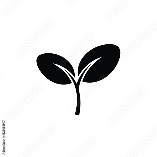 Black silhouette of a young plant sprout seedling growth
