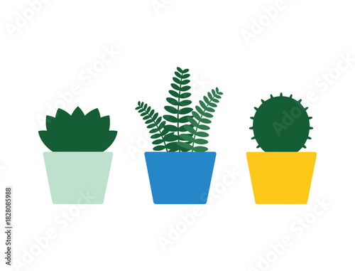 Three potted plants with different green foliage and colorful planters stand in a row.
