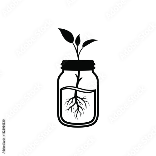 Black silhouette of plant growing in glass jar growth