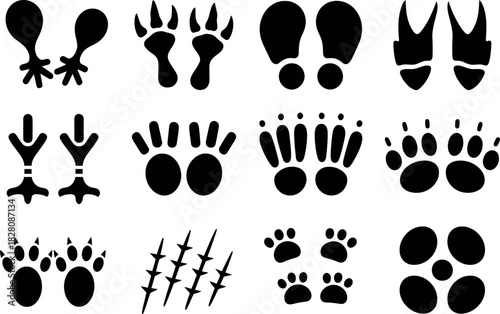 Animal Tracks and Footprints Icon Set in Black Silhouette Style