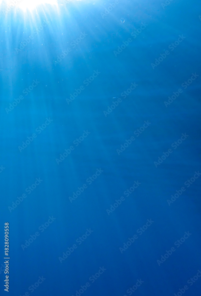Fototapeta premium bubbles, bubble, water, underwater, sea, air, deep, undersea, under, background, wave, liquid, clear, clean, ocean, nature, texture, oxygen, blue, white, effect, transparent, foam, aquarium, aqua.