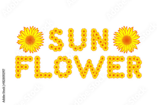 Hand drawn sunflower flower font, floral lettering.
