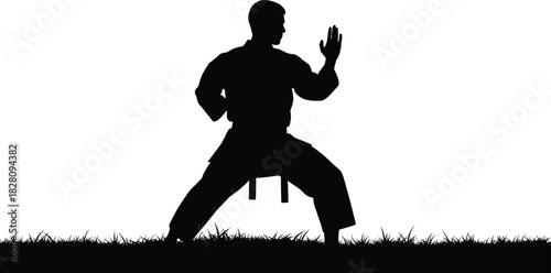 Black silhouette of a man in karate gi on grass martial arts karate, martial arts, silhouette, man, male, fighter, combat, sport, training, exercise, action, pose, stance, gi, uniform, belt, grass, fi