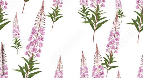 A delicate and airy seamless pattern of pink fireweed flowers also known as rosebay willowherb on a fresh white background.