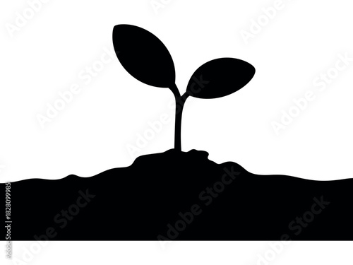 A small plant seedling emerges from the dark soil in silhouette.