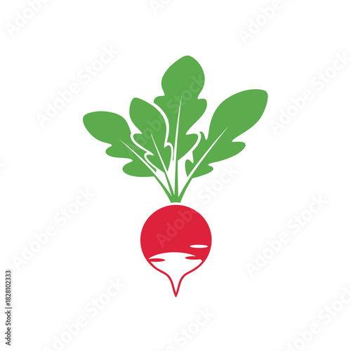 Radish illustration with vibrant colors in a minimalist style for fresh produce design
