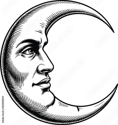 Vector illustration of a stylish lady's face with fashion lips, long hair, and an artistic silhouette head profile sketch