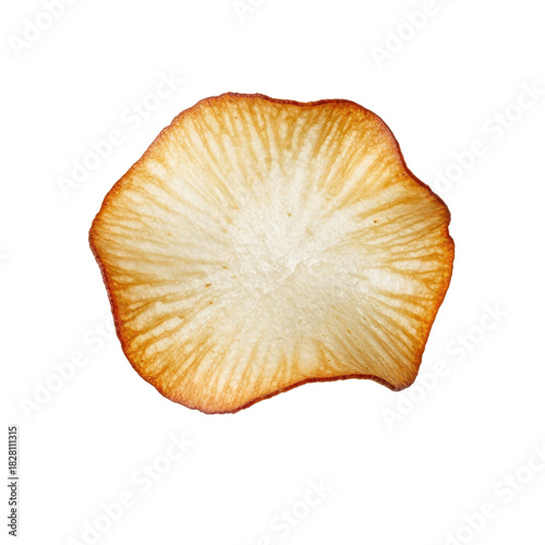 A Single Fried Onion Slice with Golden Brown Edges and Radial Lines on an