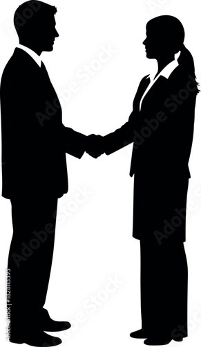 Professional business man and woman shaking hands, deal concept