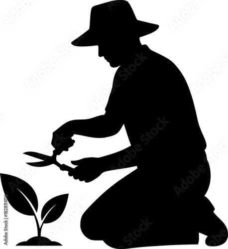 Gardener kneeling, pruning small plant with shears silhouette