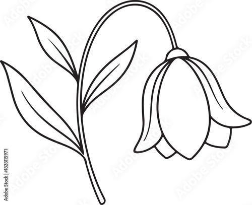 Single Drooping Flower With Leaves In Outline Drawing bloom blossom on transparent background