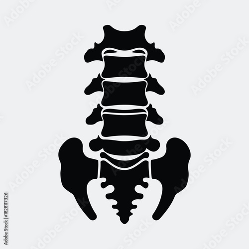 Silhouette human spine lumbar anatomy backbone structure vector illustration