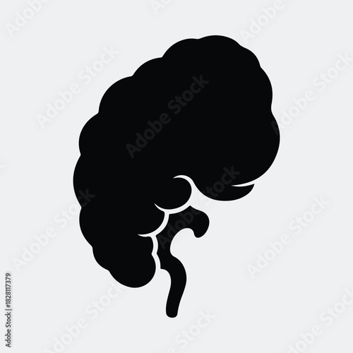 Silhouette kidney human internal organ medical anatomy vector illustration