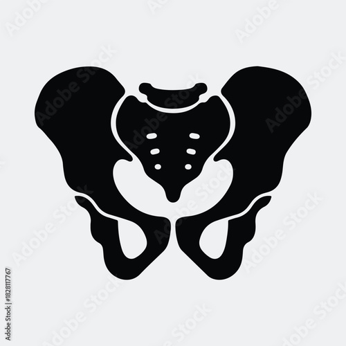 Silhouette of human pelvic bone anatomical structure vector illustration