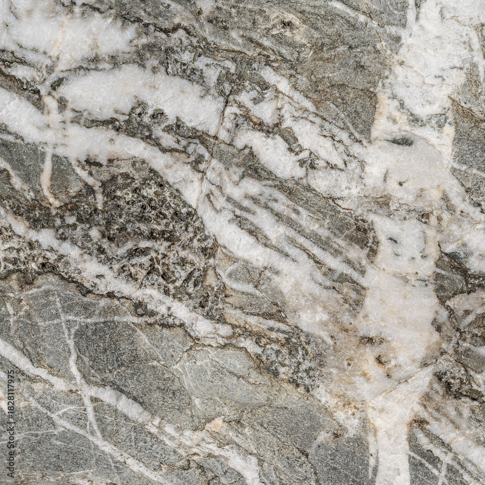 Naklejka premium Light Grey Granite Crystalline Surface Detail