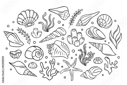 big vector set, seashells, corals, algae, sea sponges, underwater marine life, simple vector black and white icons