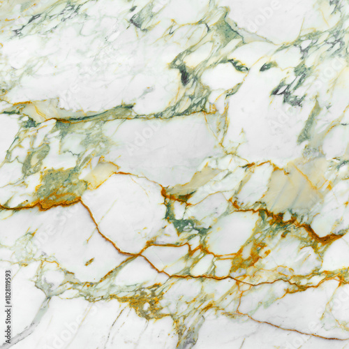Calacatta Gold Marble Surface Detail